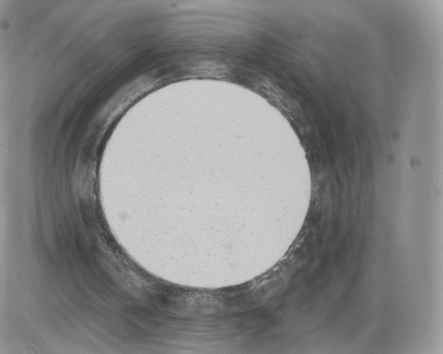 X0000081560146200701291158