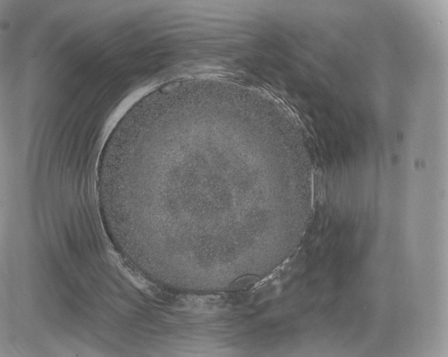 X0000081560147200701291158