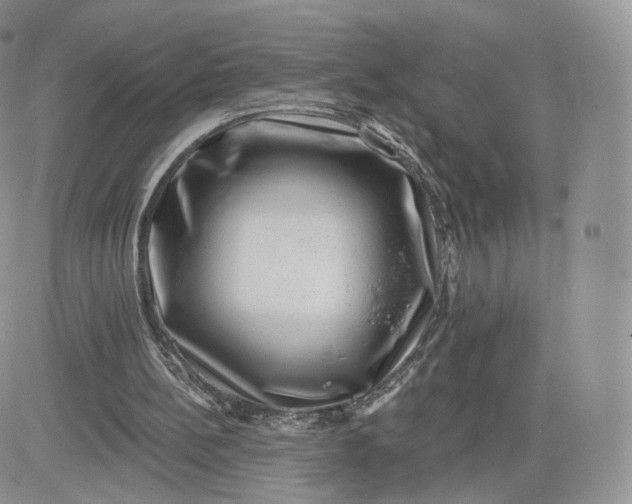 X0000081560148200701291158