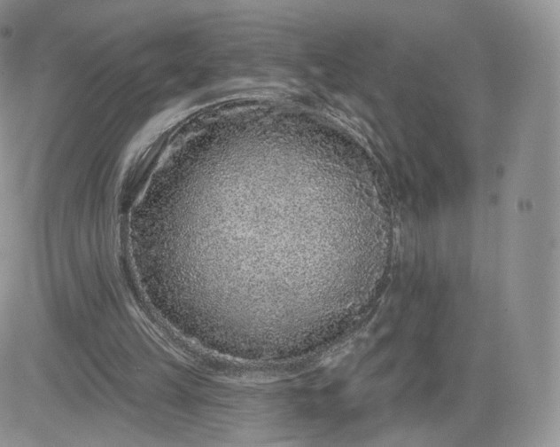 X0000081560149200701291158