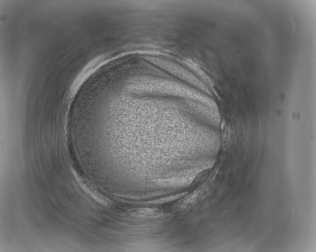 X0000081560151200701291158