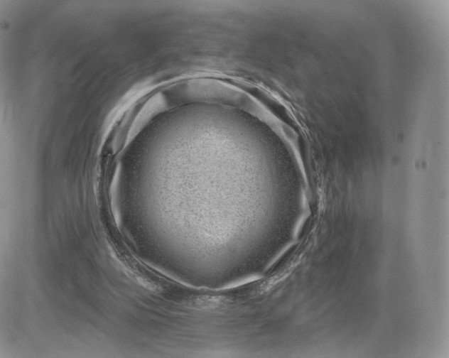 X0000081560152200701291158