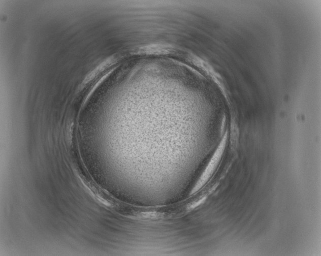 X0000081560153200701291158