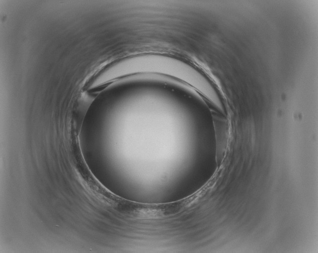 X0000081560154200701291158