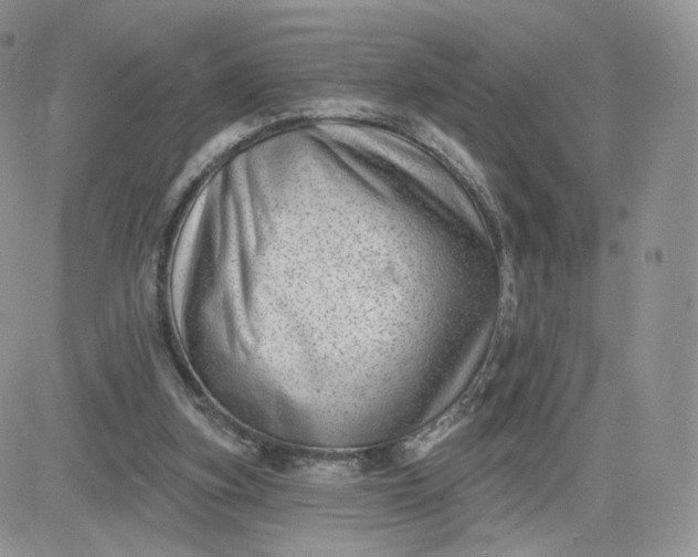 X0000081560155200701291158