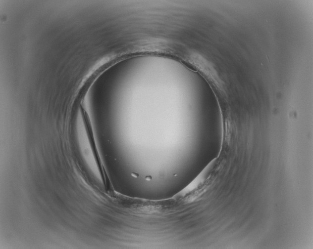 X0000081560156200701291158