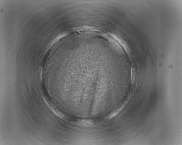 X0000081560157200701291158