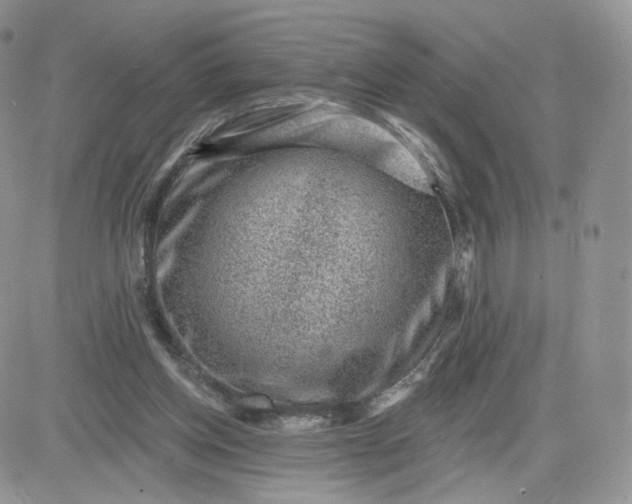 X0000081560158200701291158