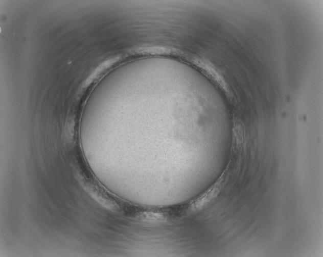 X0000081560159200701291158