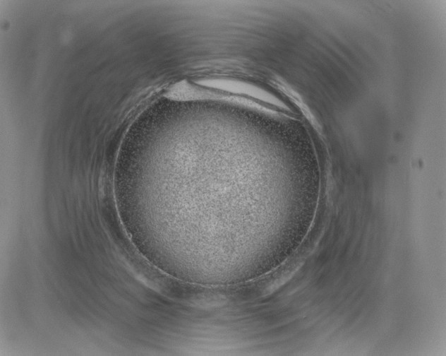 X0000081560161200701291158