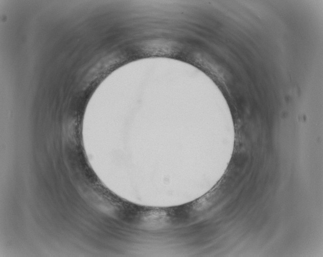 X0000081560162200701291158