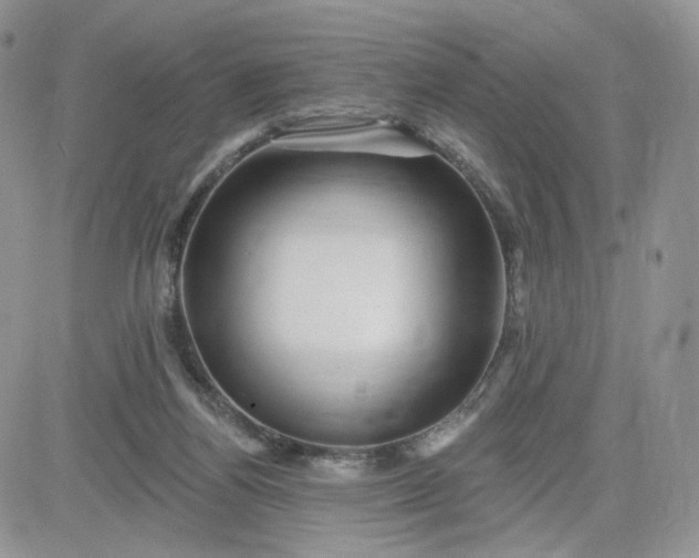 X0000081560164200701291158