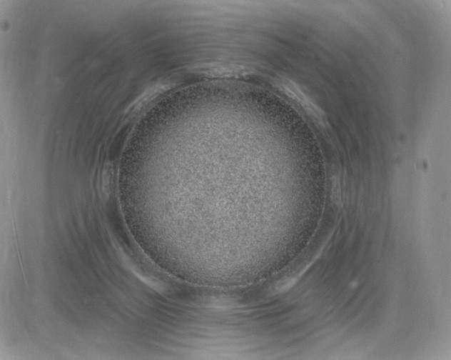 X0000081560165200701291158