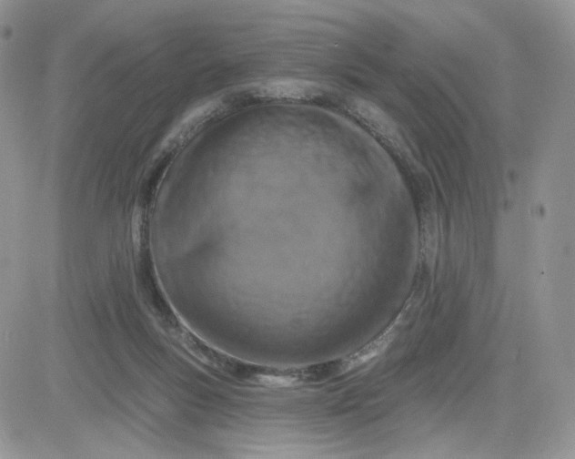 X0000081560167200701291158