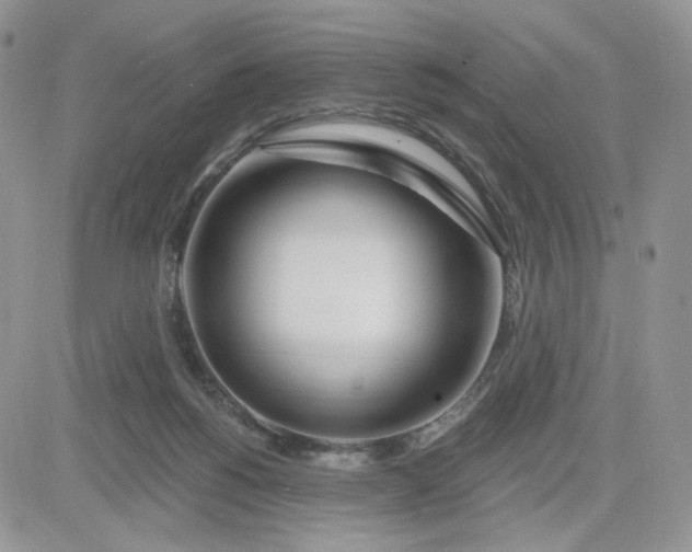 X0000081560168200701291159