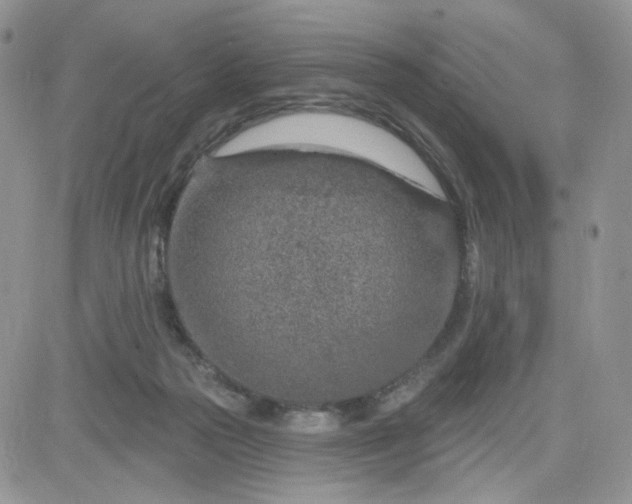 X0000081560169200701291159