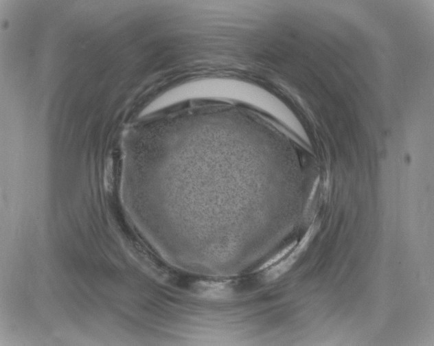 X0000081560170200701291159