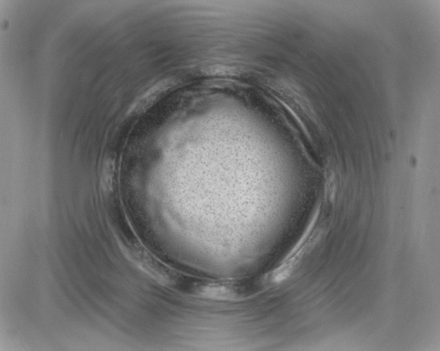 X0000081560171200701291159