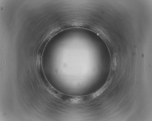 X0000081560172200701291159