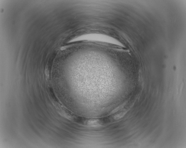 X0000081560173200701291159