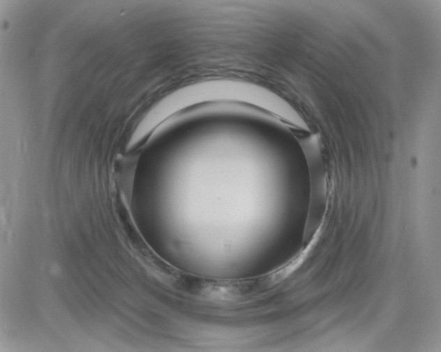 X0000081560174200701291159