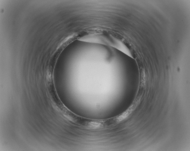 X0000081560176200701291159