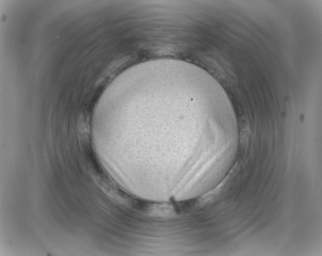 X0000081560179200701291159