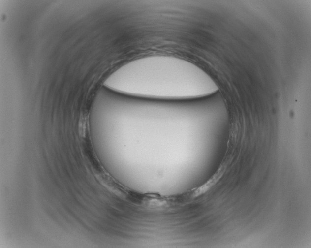 X0000081560180200701291159