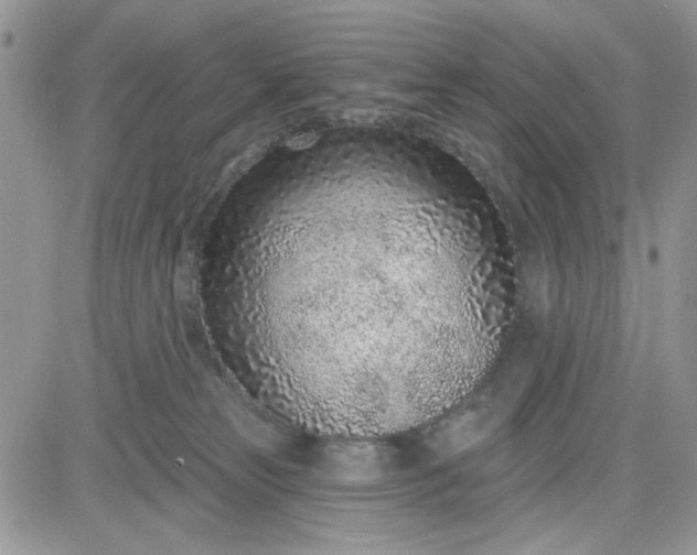 X0000081560181200701291159