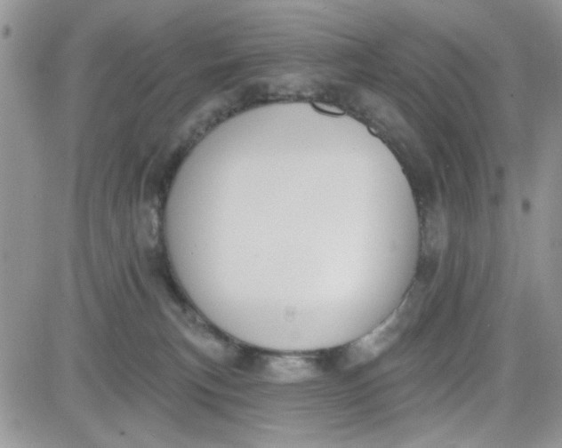 X0000081560183200701291159