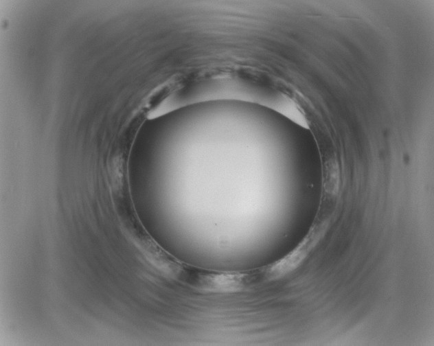 X0000081560184200701291159