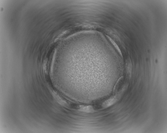 X0000081560185200701291159