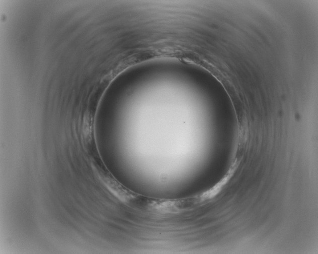 X0000081560186200701291159