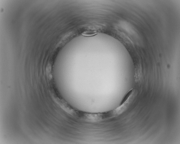 X0000081560187200701291159