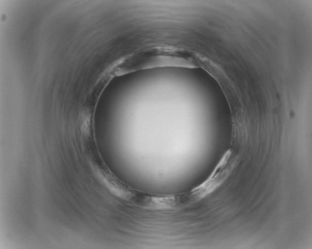 X0000081560188200701291159