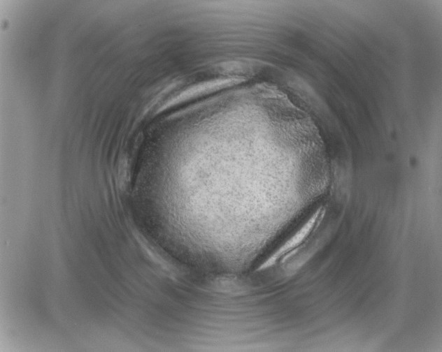 X0000081560189200701291159