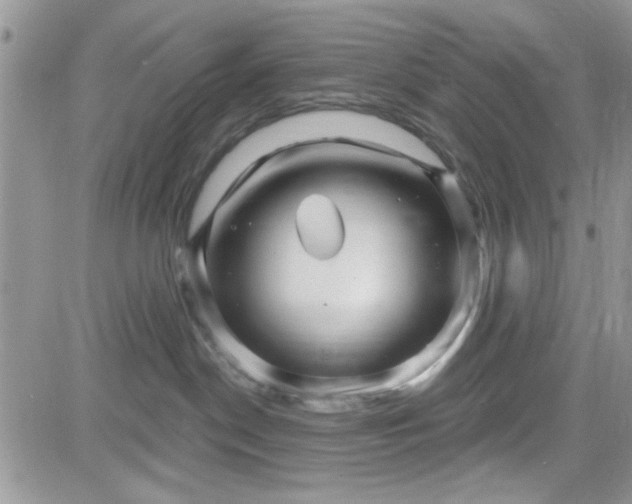 X0000081560190200701291159