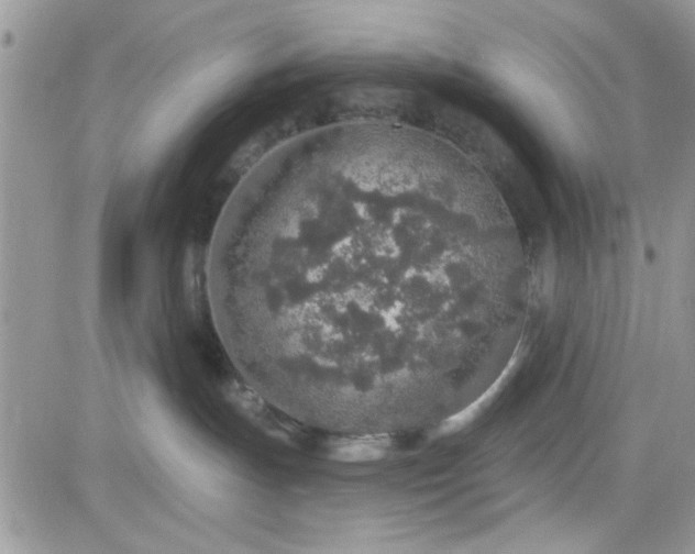 X0000081560191200701291159