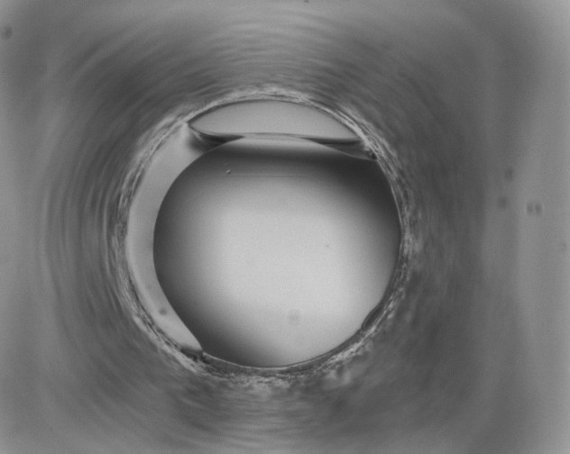 X0000081560193200701291158