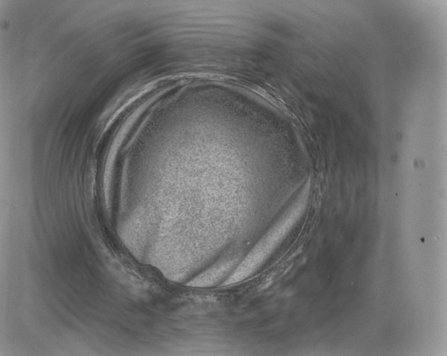 X0000081560194200701291158