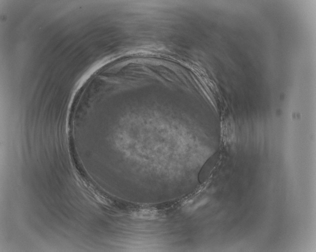 X0000081560196200701291158