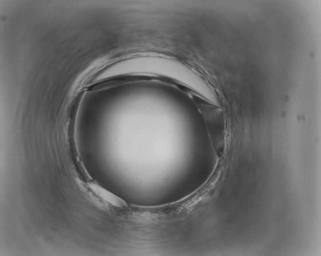 X0000081560197200701291158