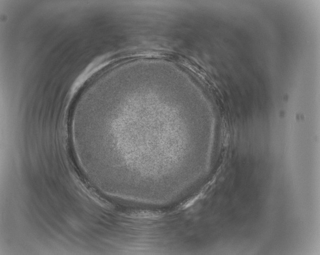 X0000081560198200701291158