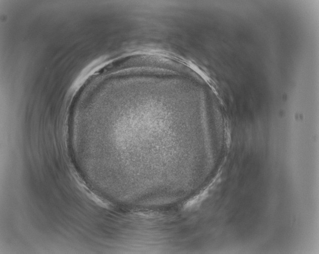 X0000081560199200701291158