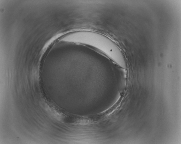 X0000081560200200701291158