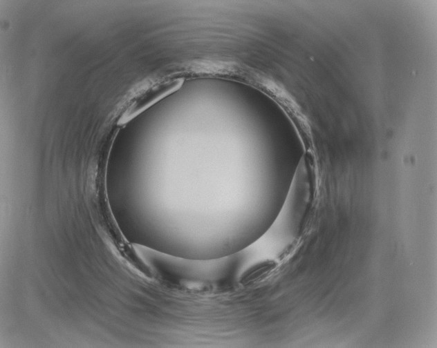 X0000081560201200701291158