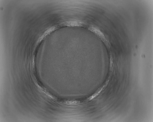 X0000081560202200701291158