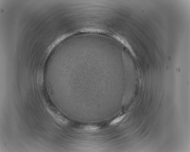 X0000081560204200701291158