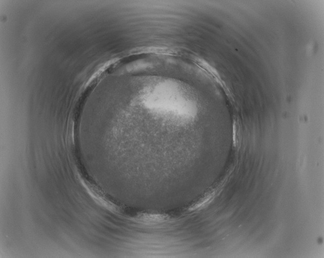 X0000081560205200701291158