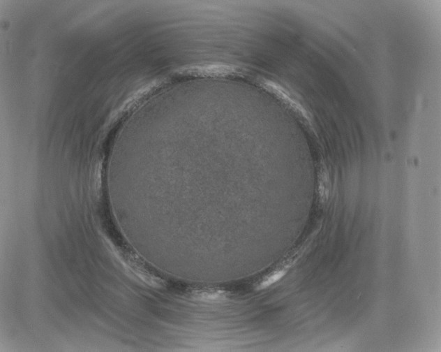 X0000081560206200701291158